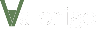 Valorigo Logo